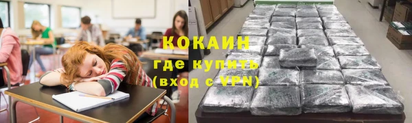 гашик Бородино