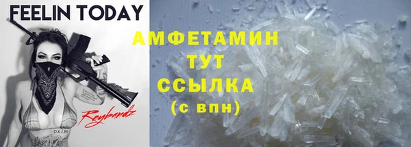 гашик Бородино