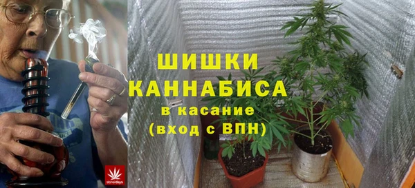 гашик Бородино