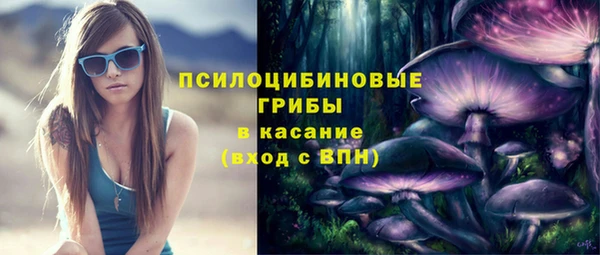 трава Бронницы